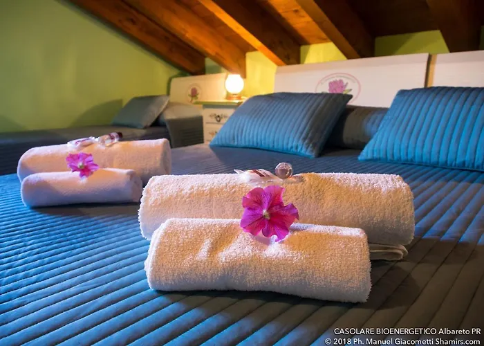 Il Casolare Bioenergetico 3* Albareto