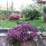 Il Casolare Bioenergetico Couette-café Albareto (Parma)