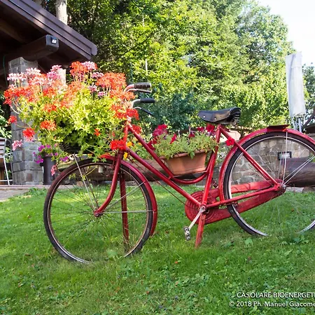 Il Casolare Bioenergetico B&B